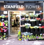 Stanfield Flower